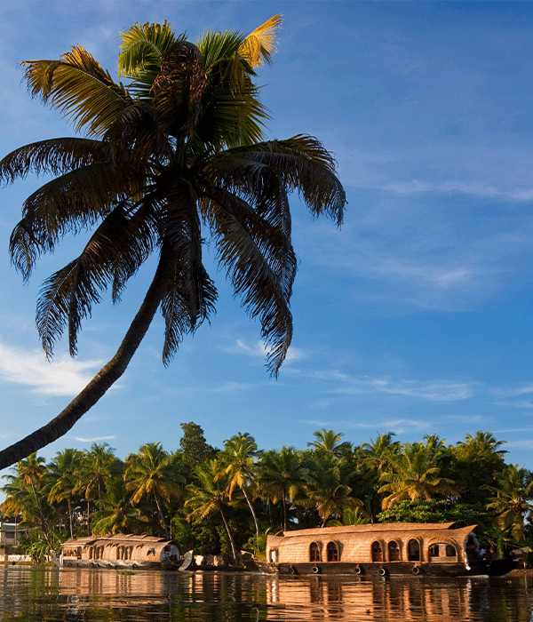 Travel Destination